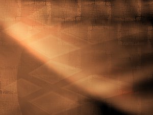 沈陽市運動服有限責任公司